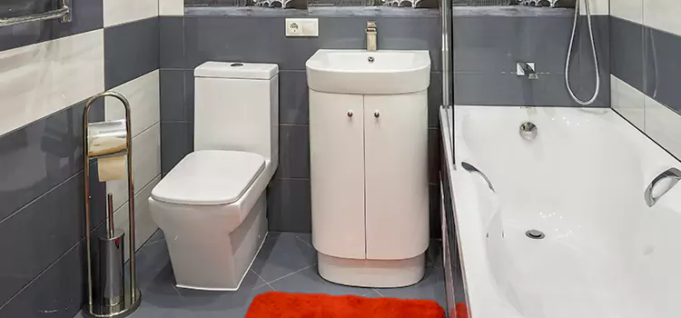 Hansgrohe Shaving Mirror Edmonds